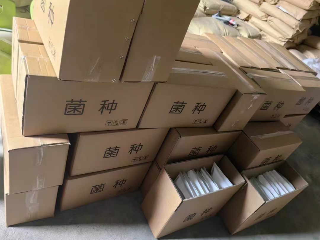微信图片_20250701171934